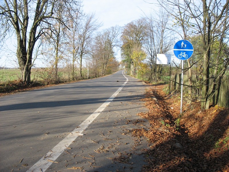 Pseudo-ścieżka Suchcice-Gucin-Dzwonek-Grodzisk