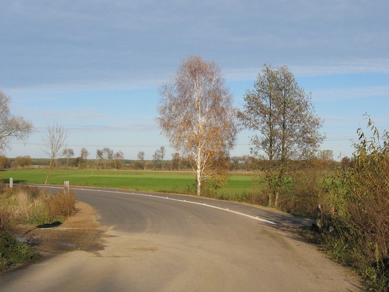 Pseudo-ścieżka Suchcice-Gucin-Dzwonek-Grodzisk