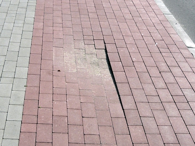 DDRiP Olszewo Borki - 16