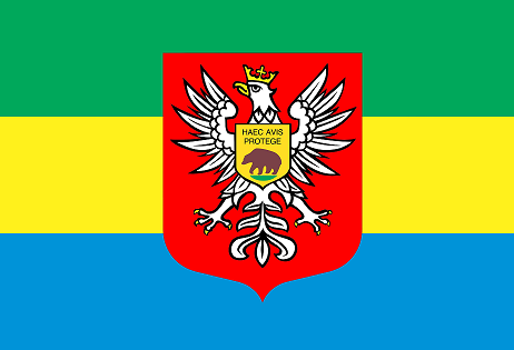 Flaga z herbem miasta