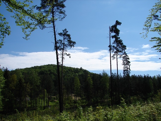 Okolice ruin zamku w Ostrężniku.