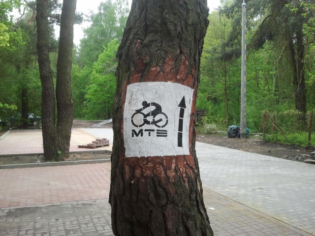 oznaczenie szlaku MTB