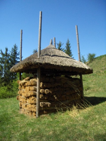 Skansen w Nowogrodzie