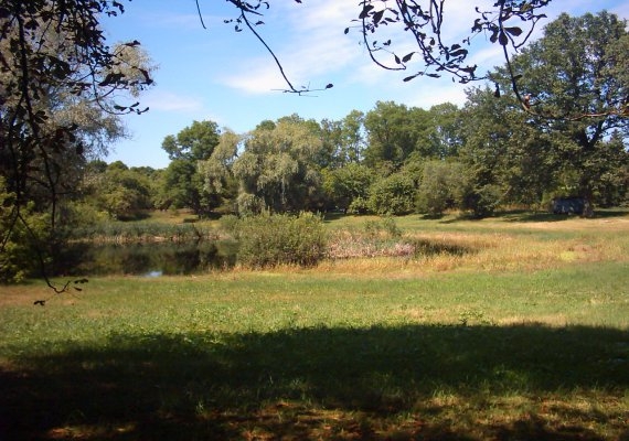 Oczko wodne w parku w Suchem.