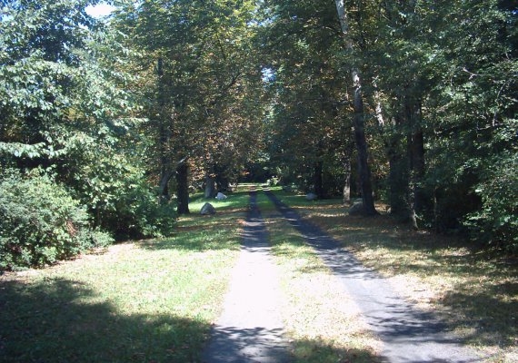 Suche - aleja wjazdowa na teren parku.