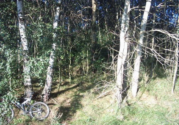 Nogawki - cmentarz z okresu I wojny.