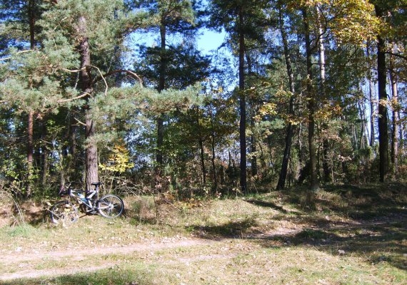 Rosocz-cmentarz wojenny z okresu I wojny światowej.