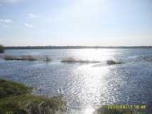 koryto Narwi koło Białego Bagna