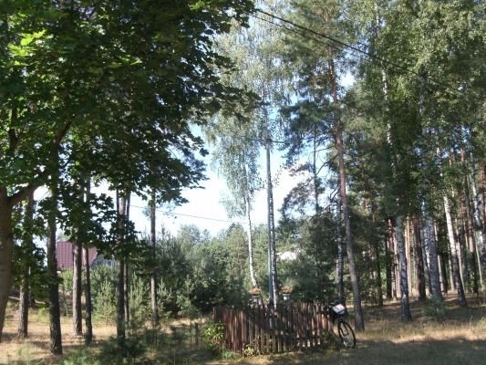 Zabytkowy żelazny krzyż