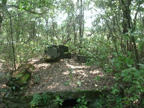 Wicentowo - cmentarz