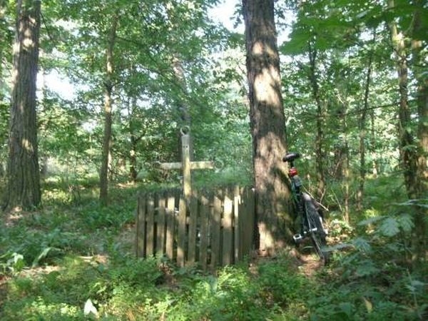 Dalekie- mogiła nieznanego partyzanta