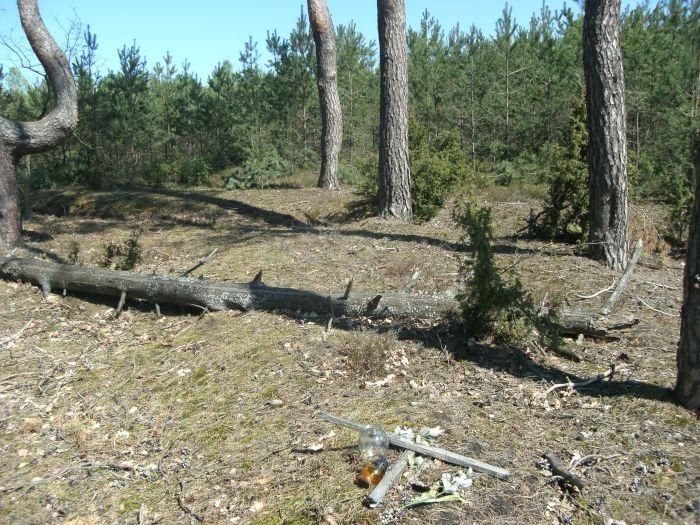 Kierzek - cmentarz z I w.ś.