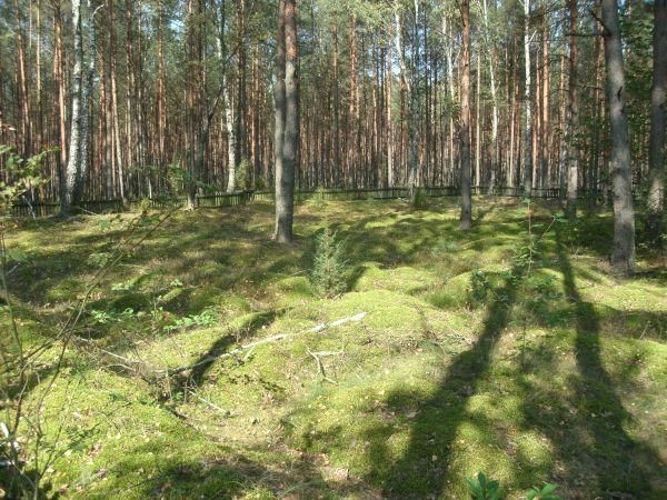 Niskowizna-cmentarz z I w.ś.