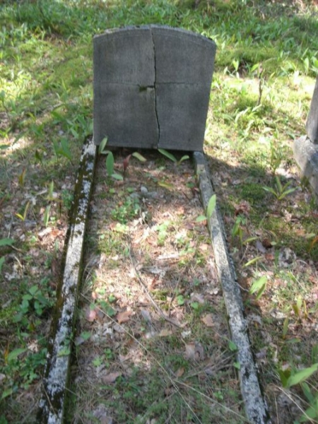 Kwiatuszki k szkoły 2