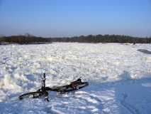 09.01.2017 Narew w Rybakach