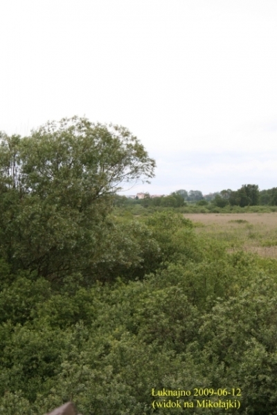 Widok z wieży na jez. Łaknajno