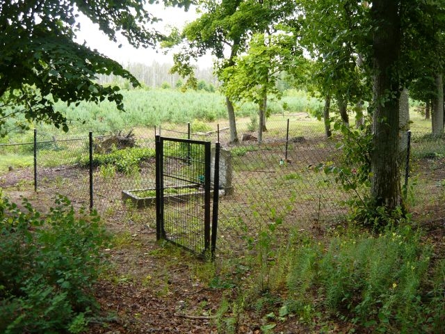 Mazury 12.07.2009 - Pogobie Tylne - Cmentarz