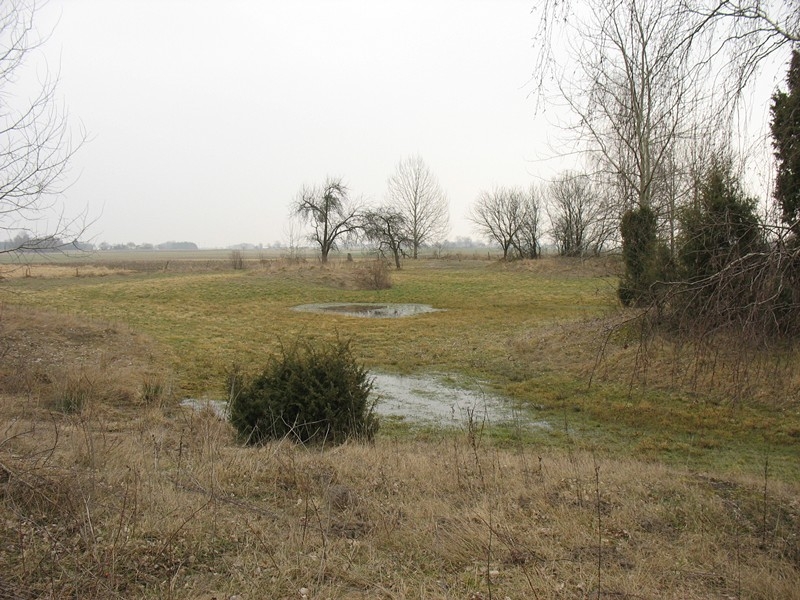 2014-03-08 Wyprawa na Gotów