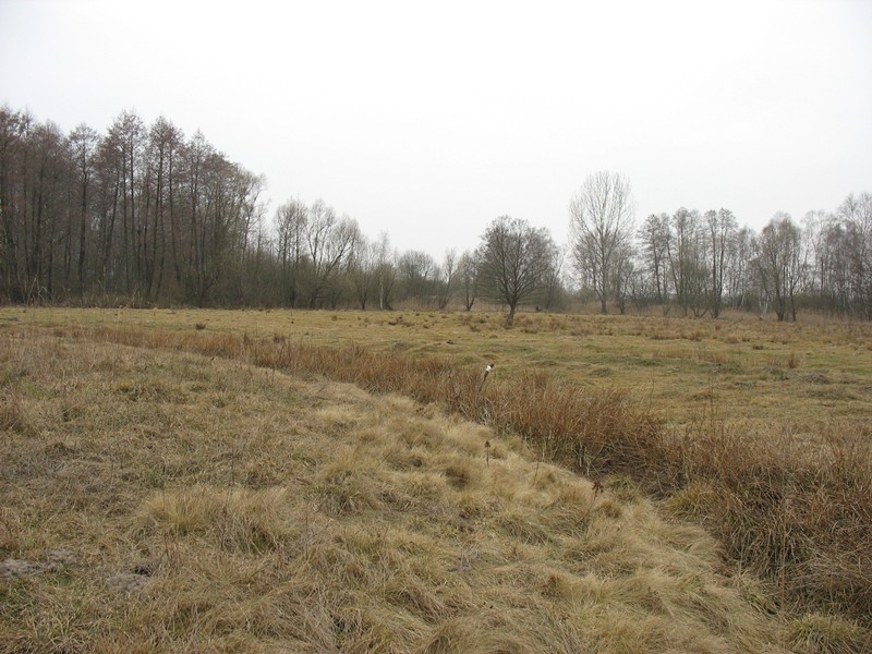 2014-03-08 Wyprawa na Gotów