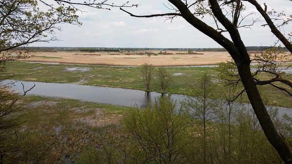 Widok z Góry Skobla na dolinę Biebrzy