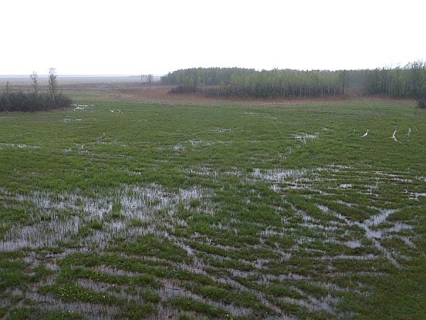 Bagno Ławki z wieży widokowej