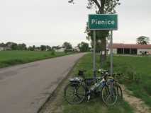 Pienice