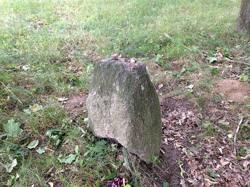 Na zamek w Pułtusku