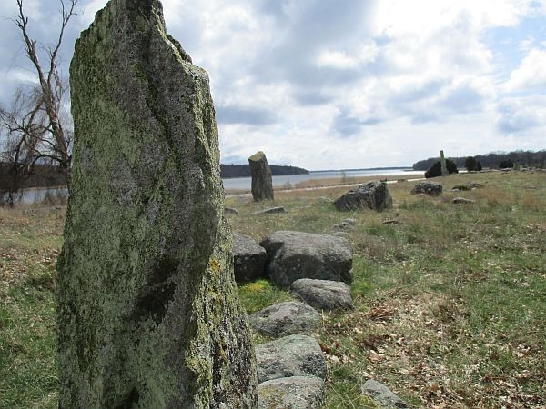 Cmentarzysko wikingów Hjortahammar