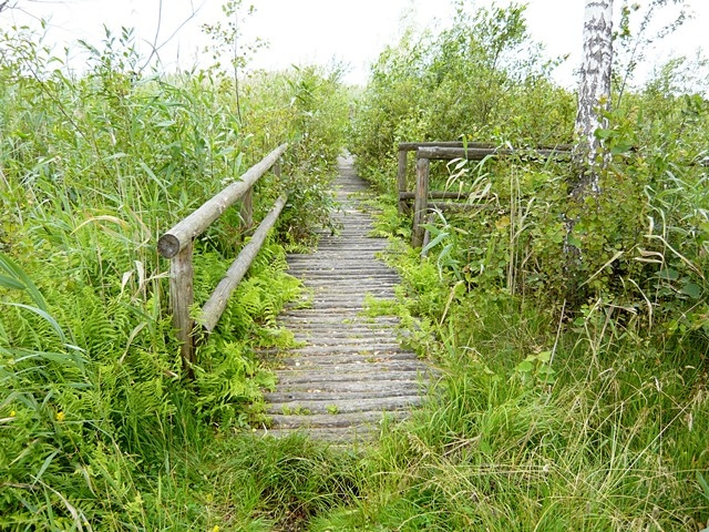 18.07.2010 - Wycieczka forumowiczów