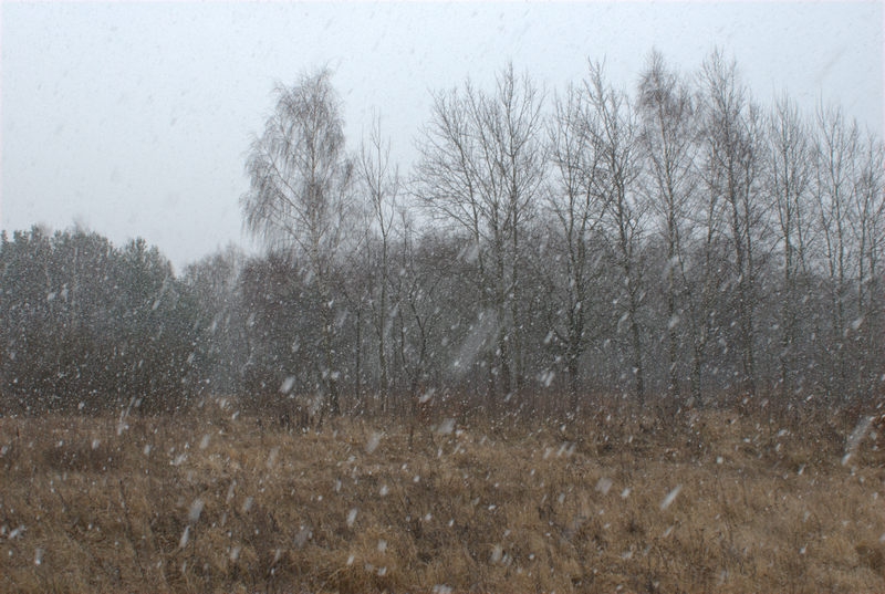 Brillanz / Wärme - Brilliance/Warmth