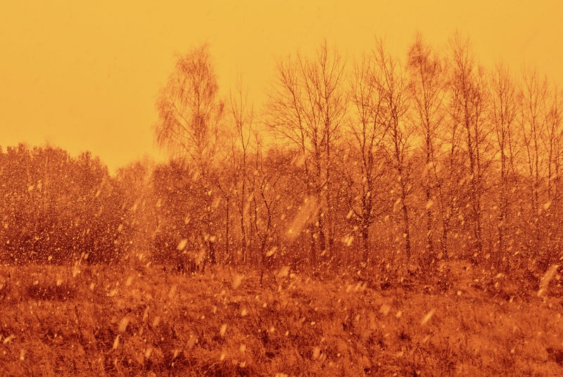 gebrannter Siena - Burnt Sienna,