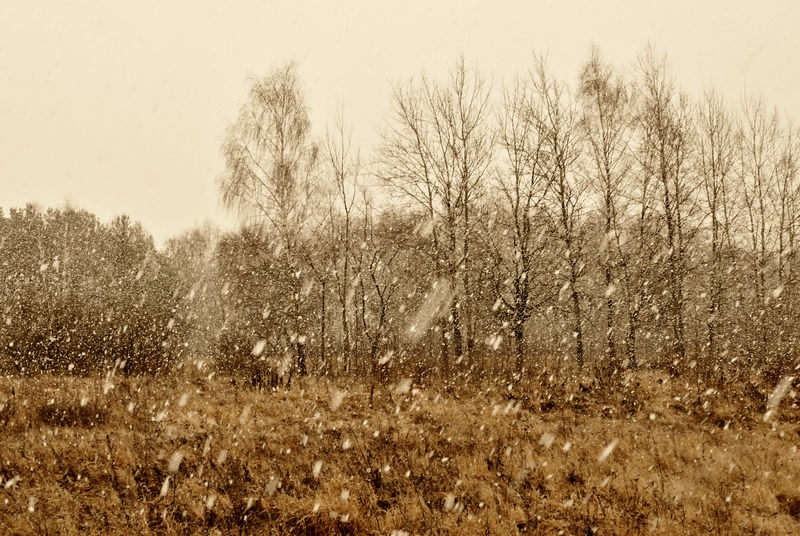 stilisierenden Farbe - Color Stylizer