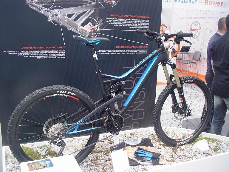 znowu coś dla tygrysków