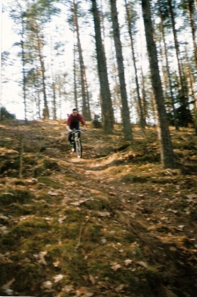 Górka między Łęgiem a Kurpiewskimi, 1999