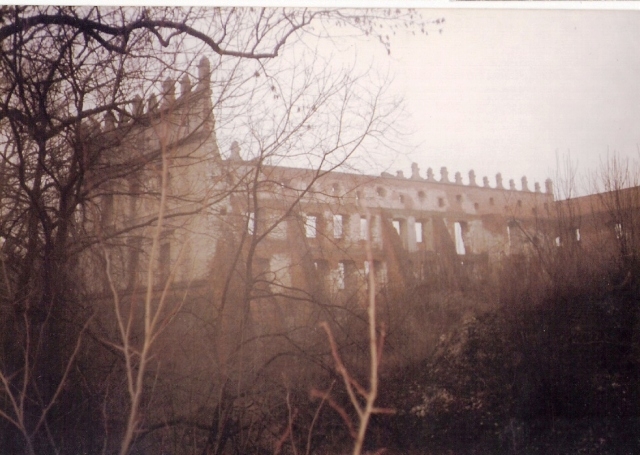 Zamek Zamoyskich, Krupe k. Chełma 1996