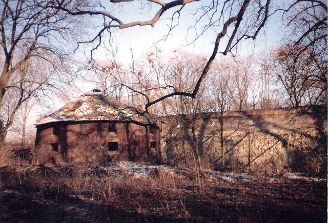Ruiny zamku, gdzieś między Chełmem a Zamościem, 1994