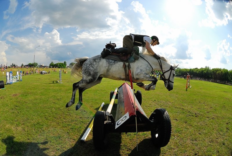 Zawody Kawaleryjskie