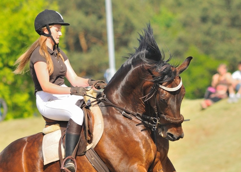 Zawody kawaleryjskie